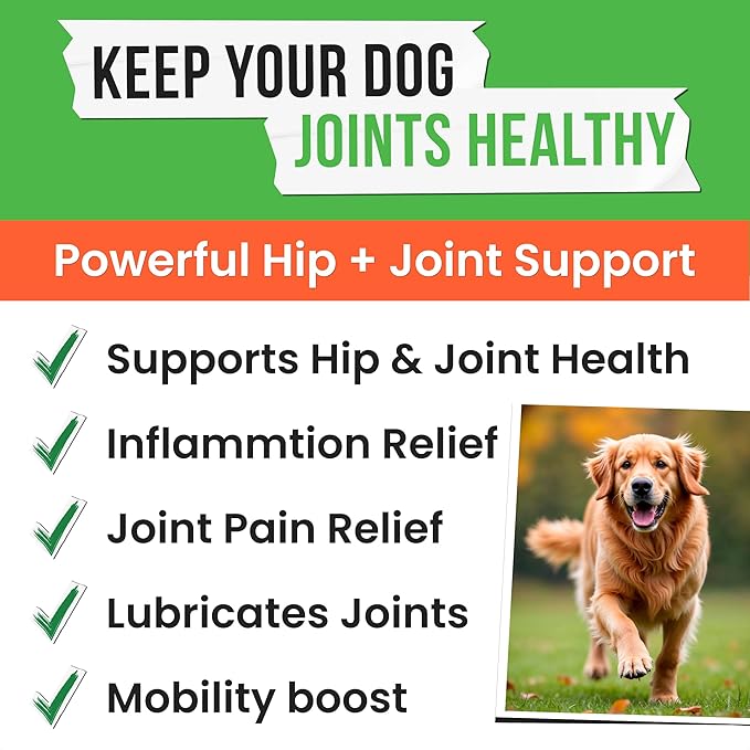 Hemp Treats - Dog Joint Supplement - Mobility Support Chews w/Glucosamine Chondroitin, Turmeric, MSM - Hip & Joint Chews - Joint Pain Relief Treats - 120Ct