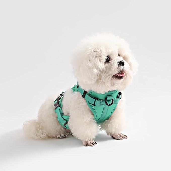 HNS1001K Arlo Small Adjustable Soft Padded No Pull Pet Harness with 3 Buckles and 3 Leash Clips, Julep