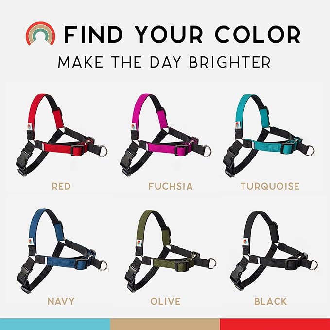 Wildebeest No Pull Dog Harness | Comfortable Training Harnesses | Effective No Pull Harness Design | Ideal for Small Dog and Puppy | 4-Point Adjustable (S -18~24 inch Girth, Turquoise)