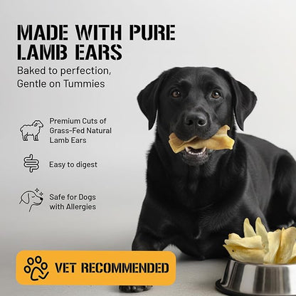 Dog Chits Lamb Ears for Dogs – 100% Natural Baked Lamb Ear Dog Treats – Grain-Free, High Protein, Lower Fat Training Chews – Dental Health & Joint Support – for Medium and Small Pups – 35 Pack