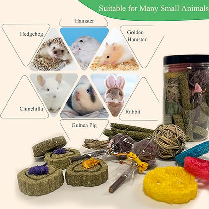 FIPASEN Rabbit Chew Toys for Teeth, 16PCS Natural Timothy Hay Chew Toy, Improve Dental Health for Bunny/Chinchilla/Guinea Pig/Hamsters/Holland Lop, Small Rodent Pet Molar Teeth Treats Toys