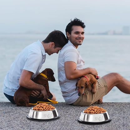 10 Pcs Stainless Steel Dog Bowl Pet Feeding Bowl with Rubber Base Non-Slip Pet Dishes Metal Dog Bowls Pet Food and Water Bowls for Small Medium Animals Kitten Rabbit (30 oz)