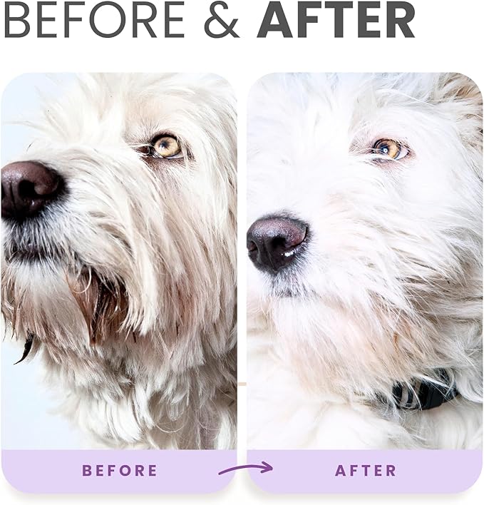 Lillian Ruff PRO Formula Ultra Brightening Dog Shampoo - Professional Whitening & Long-Lasting Odor Eliminator, Remove Stains & Discoloration, Dry Skin & Itch Relief - Aloe & Provitamin B5 Gallon+Pump