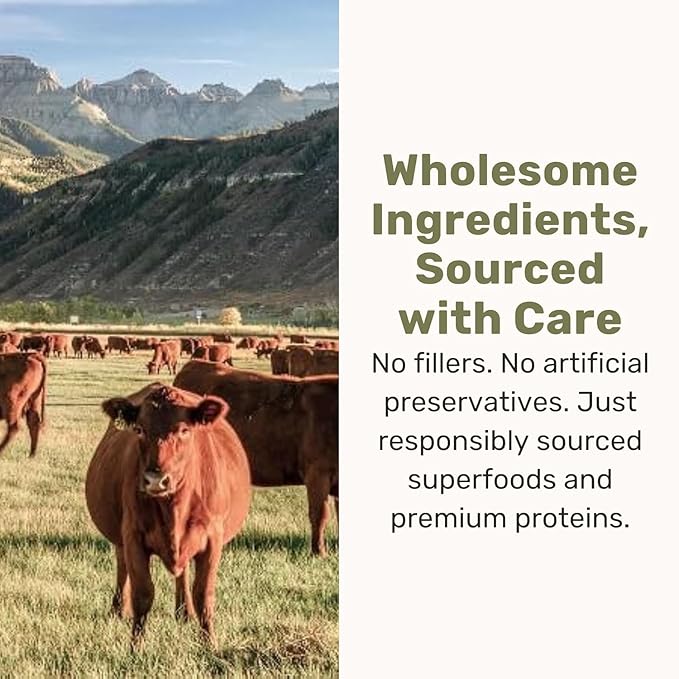 BADLANDS RANCH Superfood Nuggets – Freeze-Dried Raw Dog Treat & Food Topper, Nutrient-Dense Beef Tripe & Kale Formula, High Protein, No Artificial Additives, 8oz Bag