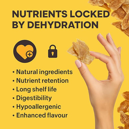 Chicken Jerky Dog Treats Made in USA | Chicken Dehydrated Breast | Training Treats | Human Grade, High Protein, Single Ingredient Dog Treats | Grain-Free, Hypoallergenic | All Breeds, 4 oz