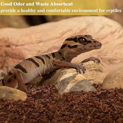 ZeeDix 6 Pack Coconut Fiber Substrate, 100% Organic Coconut Husk Coco Coir Brick Terrarium Bedding for Reptiles, Tortoise, Bearded Dragon, Leopard Gecko, Snake, Hermit Crabs, Frogs, Tarantula