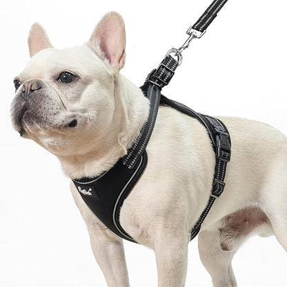 PUPTECK Dog Harness and Leash Set Small Sized, Adjustable Reflective Escape Proof Puppy Vest, No Pull Walking Harness Easy Control