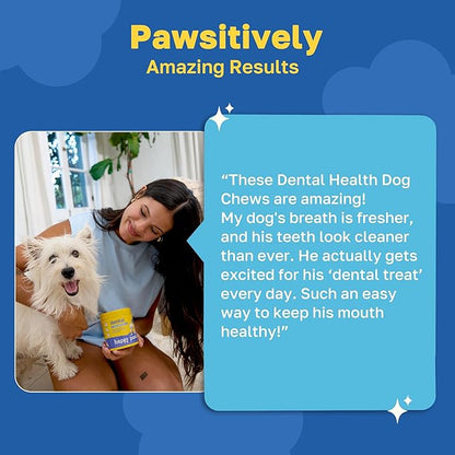 Happy Paws Dental Supplement, Dog Breath Freshener & Teeth Cleaning Treats, Oral Care Support for All Breeds, Sizes & Ages, Natural Spearmint Flavor, Organic, Non GMO, 100 Soft Chews