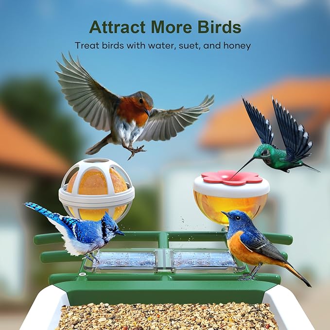 Smart Bird Feeder with Camera: Solar Powered Birdhouse with AI Recognition, Wireless Bird House with Camera for Outdoor, Unique Birthday Gifts for Mom Dad