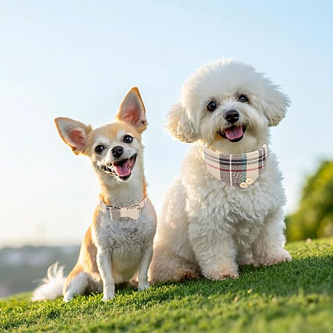 EXPAWLORER Dog Collar and Bandana Set - Classic Plaid Dog Bow Tie and Bandana Collar with PU Leather, Adjustable Collars for Small Medium Large Dogs Cats, Holiday Ideal Gift, Beige XS