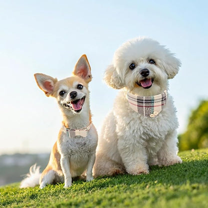EXPAWLORER Dog Collar and Bandana Set - Classic Plaid Dog Bow Tie and Bandana Collar with PU Leather, Adjustable Collars for Small Medium Large Dogs Cats, Holiday Ideal Gift, Beige XS