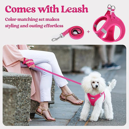 rabbitgoo Dog Harness Small Sized and Leash Set, Step in Soft Light Puppy Vest, Breathable Mesh Pet Harness, Reflective for Safe Easy Walking, Rose Red M