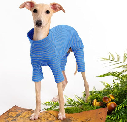Dog Sweaters for Small Dogs Girls Boys, Striped Pet Sweaters for Fall Winter Dog Clothes, Turtleneck Pullover Knitwear for Small Medium Large Dogs