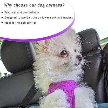 Comfort fit Step-in Dog & Puppy Harness - Comfortable All Weather Dog Vest Harness: Adjustable, Soft Padded, Easy to Put-on for Small, Medium-Sized Dogs (Velvet Plush)