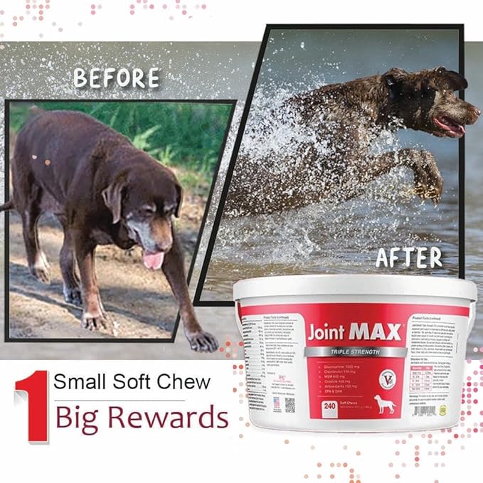 TS Joint Supplement Vet Formulated Pain & Inflammation Relief Treats Hip Dysplasia & Arthritis.Glucosamine, Chondroitin, Turmeric, MSM, HA, Creatine, Omega 3 EPA+DHA. All Dogs 240 Soft Chews