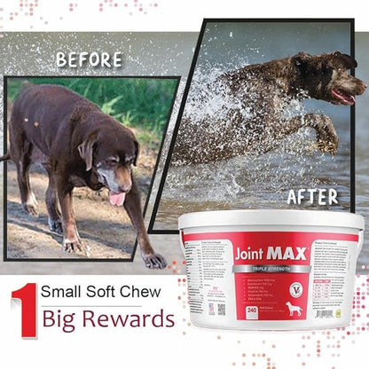 TS Joint Supplement Vet Formulated Pain & Inflammation Relief Treats Hip Dysplasia & Arthritis.Glucosamine, Chondroitin, Turmeric, MSM, HA, Creatine, Omega 3 EPA+DHA. All Dogs 240 Soft Chews