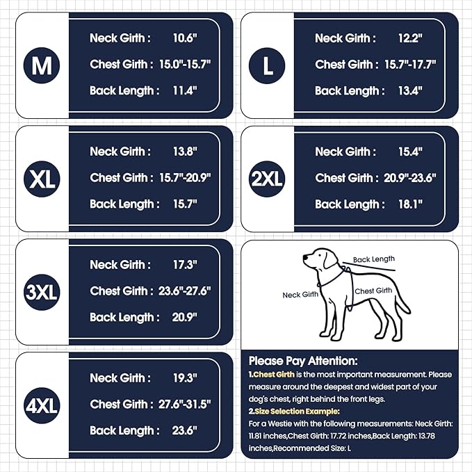 ‌IECOii 2 Pack Dog Sweaters for Dachshunds Boy Girl - Stretchy & Cozy & Thermal, Winter & Fall Dogs Fleece Sweater, Soft Pet Coats for Indoor & Outdoor(Size L, Light Green & Army Green)