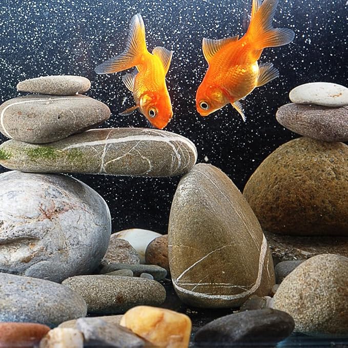 YISZM 20lbs Natural River Rocks, 1"-2" Premium Pebbles for Garden and Landscape Design, Hand-Picked Smooth Stones for Fish Tank, Flower Pots, Indoor Water Fountains, Pathways, Backyard