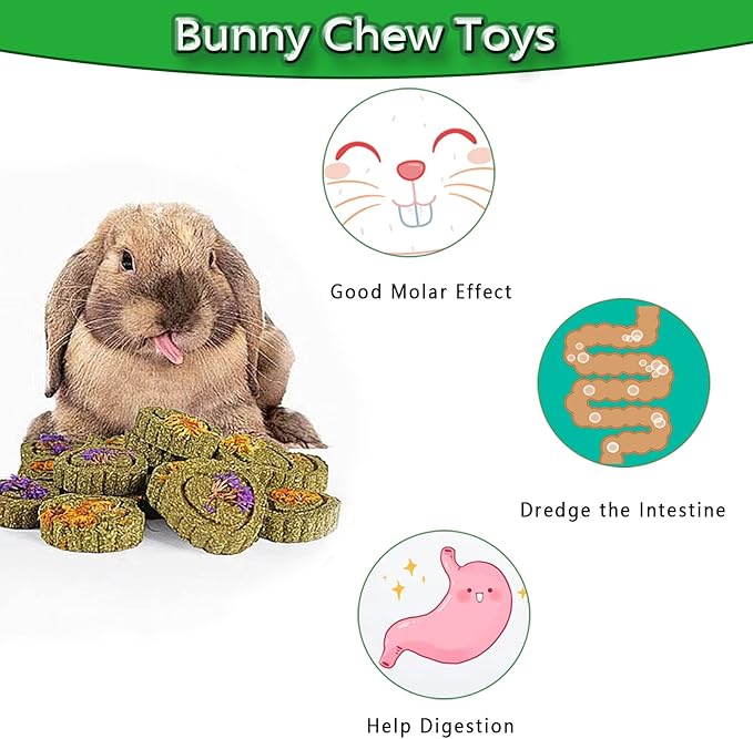 FIPASEN Rabbit Chew Toys for Teeth, 18PCS Natural Timothy Hay Chew Toy, Improve Dental Health for Bunny/ Chinchilla/ Guinea Pig/ Hamsters/ Holland Lop, Small Rodent Pet Molar Teeth Treats Toys