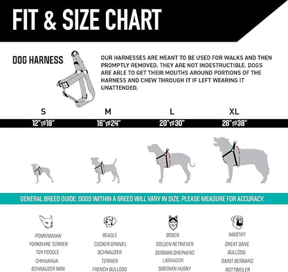 Wolfgang Heavy Duty Adjustable Dog Harness, Pull-Tested to Over 800 lbs for Walking & Training, LostArt Print, Medium