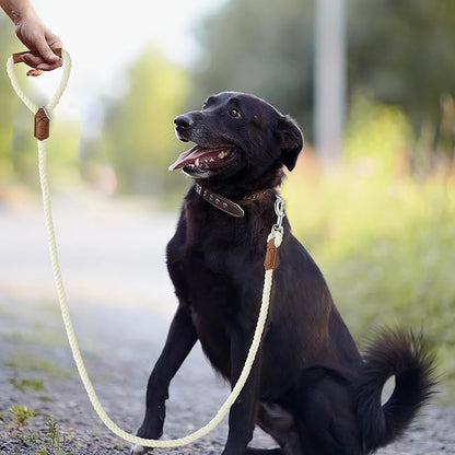Mile High Life Dog Leash, Braided Cotton Rope Leashes with Leather Handle - Heavy Duty Metal Clasp, 5FT, 1/2" Thick - Wedding, Walking & Training Leash for Small Medium Large Dogs (White)