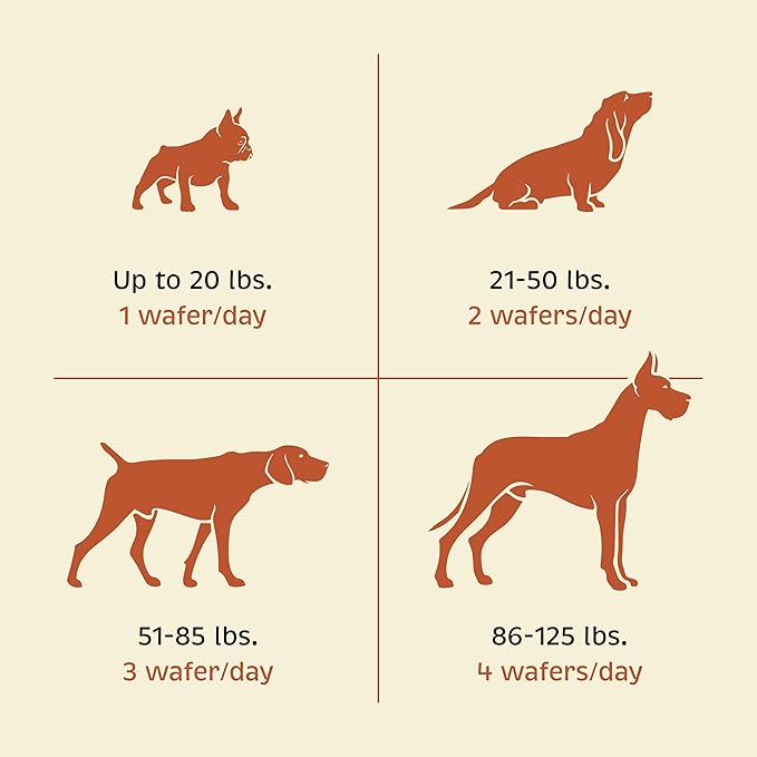 Spirited Paw Health + Vitality for Dogs - Pet Supplement for Immune System, Coat, Liver Health & More - Dog Multifunctional Support with Choline, Calcium, Zinc, & Vitamins D and A - 90 Chewable Wafers