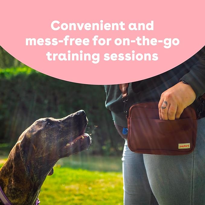 Pupford Freeze Dried Training Treats for Dogs & Puppies, 475+ Two Ingredient Bites (Salmon, 4 oz)