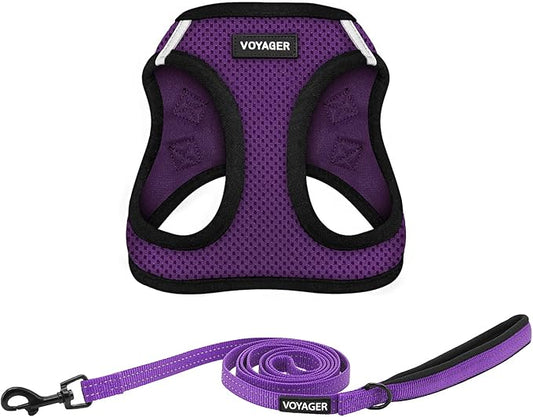 Voyager Step-in Air All Weather Mesh Harness and Reflective Dog 5 ft Leash Combo with Neoprene Handle, for Small, Medium and Large Breed Puppies by Best Pet Supplies - Purple/Black Trim, XXX-Small
