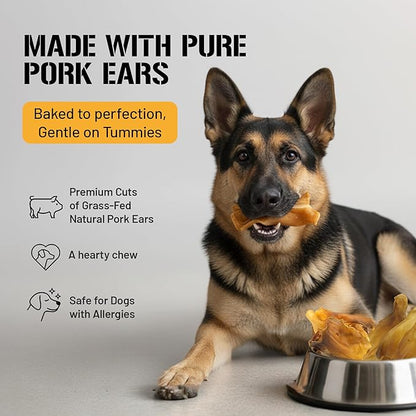 Dog Chits Pig Ears for Dogs – 100% Natural Baked Pig Ear Dog Treats & Training Chews – High Protein, Lower Fat, Grain-Free – Great for Puppies, Dental Support – Medium Size, 15 Pack – Made in USA