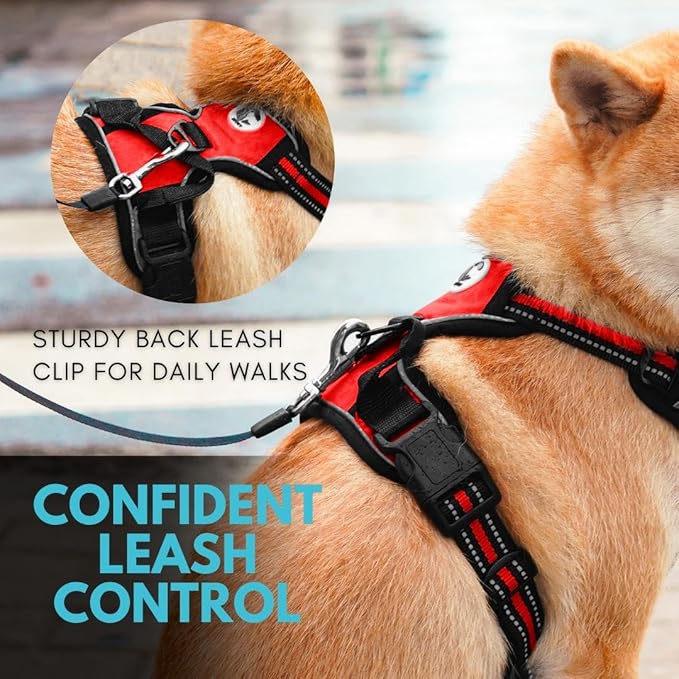 Ziggy Pet Dog Harness Adjustable Nylon Mesh Vest with Leash Clips (Red, Medium)