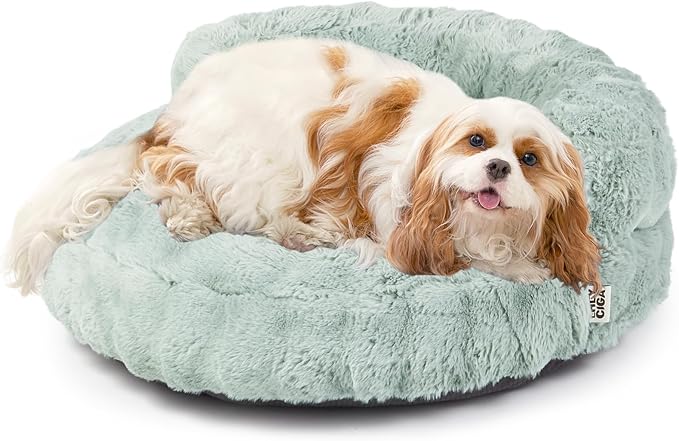 EHEYCIGA Small Dog Bed and Cat Couch - Fluffy Faux Rabbit Fur Pet Sofa with Washable Removable Cover, Waterproof and Non-Slip, 26 Inch, Sage Green
