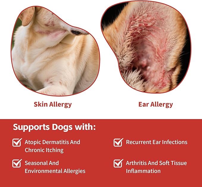 Quercetin & Bromelain Tablets for Dogs — for Skin Allergy, Atopic Dermatitis, Ear Infection Treatment & Joint Inflammation — Immune & Anti-Inflammatory Support — Vet-Formulated