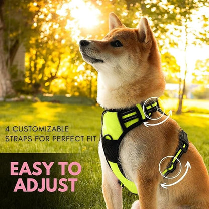 Ziggy Pet Dog Harness Adjustable Nylon Mesh Vest with Leash Clips (Green, Large)