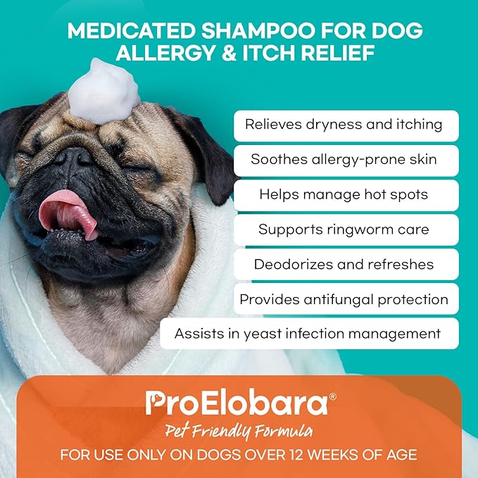 Medicated Dog Shampoo for Itchy Relief: Yeast Skin Infections and Bacterial Treatment for Dogs - Helps Hot Spots, Deodorizing, Allergy Relief - Healthy Skin & Coat - Antifungal Dog Shampoo 16 oz