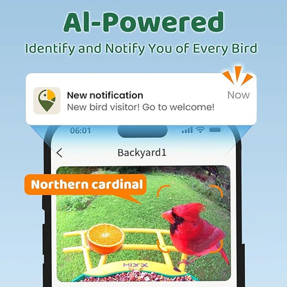 HIXX Smart Bird Feeder with Camera, AI Identify Birds & Auto Capture, 2K HD Live Camera Birdwatching with Color Night Vision for Bird Lovers Gifts (Green)