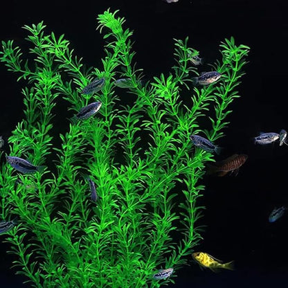 DSkoiph 2 pcs Aquarium Decor Plastic Plants Extra Large 21 Inches Artificial Fish Tank Plants Tall Fish Tank Decorations Artificial Green Water Plants (Green)