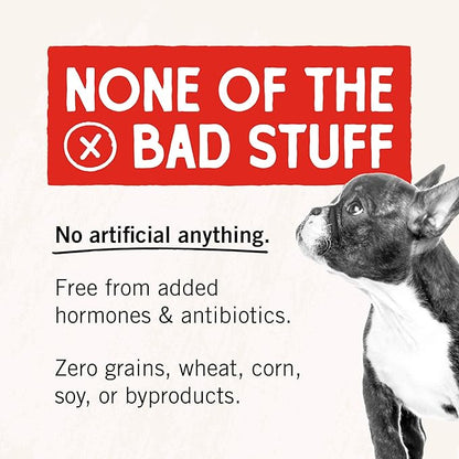 Stella & Chewy's Freeze-Dried Raw Chicken Breast Dog Treats - Single Ingredient, No Additives - Premium Training Treats - Perfect For Picky Eaters - 2.75oz Bag