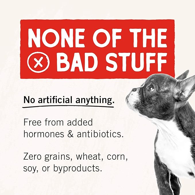 Stella & Chewy's Freeze-Dried Raw Beef Liver Dog Treats - Single Ingredient, No Additives - Premium Training Treats - Perfect For Picky Eaters - 3oz Bag