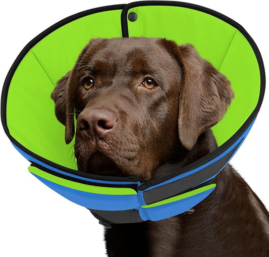 Queenmore Dog Cones for Large Dogs, Soft Dog Cone for Large Breeds, Cone for Dogs After Surgery, Adjustable Elizabethan Collar for Pet to Prevent Licking Wounds, Blue&Green L