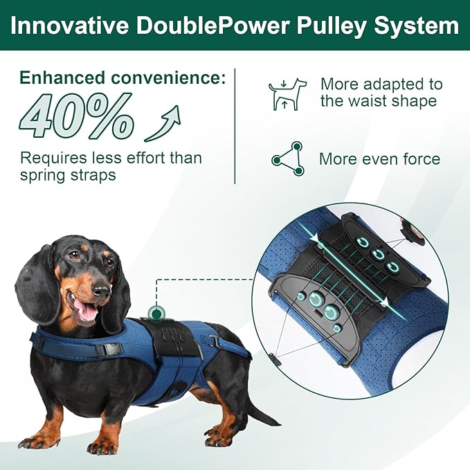 Dog Back Brace for IVDD, Arthritis, Slipped and Herniated Discs – Provides Back Support and Pain Relief, Stabilizes Spine for Surgical Recovery and Mobility, Dogs Back Disease Prevention(Blue,XL)