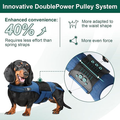Dog Back Brace for IVDD, Arthritis, Slipped and Herniated Discs – Provides Back Support and Pain Relief, Stabilizes Spine for Surgical Recovery and Mobility, Dogs Back Disease Prevention(Blue,XL)