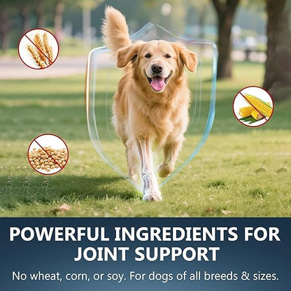 Glucosamine for Dogs - 150 Soft Chews, Hip & Joint Supplement with MSM, Chondroitin, Turmeric – Joint Support for Dogs Chicken Flavor – Vet Formulated – 2-Month Supply