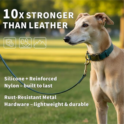 Silicone Dog Collar and Leash Set, Waterproof & Odor-Proof Puppy Collar for Small Dogs, Soft Flexible Leather-Look Dog Collars, Durable Thick Adjustable Pet Collar (Green, Small (9-14" Neck))