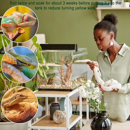 LYPHARD AQUARIUMS Driftwood for Aquarium, 14-18" Extra Large Drift Wood Fish Tank Assorted Branch Decorations Pieces for Reptile Hide