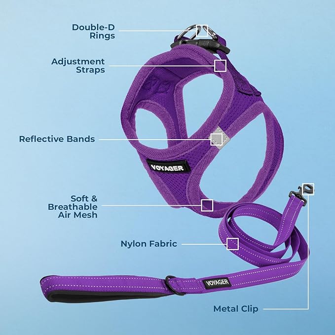 Voyager Step-in Air All Weather Mesh Harness and Reflective Dog 5 ft Leash Combo with Neoprene Handle, for Small, Medium and Large Breed Puppies by Best Pet Supplies - Set (Purple), M
