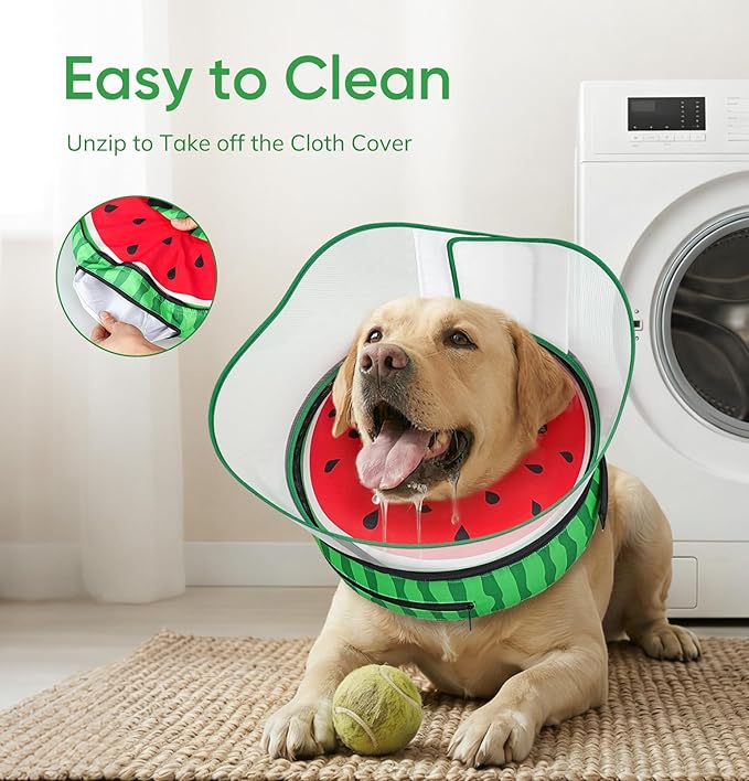 Raised Inflatable Dog Cone After Surgery - Adjustable Recovery Donut Collar with Neck Strap and Removable Anti-Licking Shield - Soft Dog Cone Alternative for Small Medium Large Dogs (Watermelon,XXL)