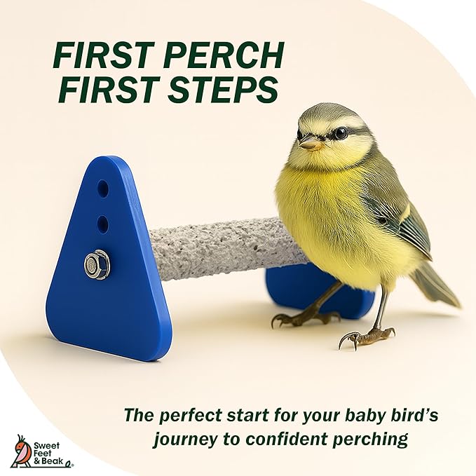 Sweet Feet and Beak Portable Bird Perch Stand for Small Birds to Keep Nails and Beaks in Top Condition - Safe, Non-Toxic, Easy to Install Cage Accessories