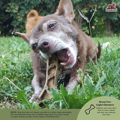 Redbarn Chew-A-Bulls, 6 Pack – Large Brush Shape Dog Dental Treats – Daily Oral Care with Fun Ridges & Grooves, All Natural Ingredients, Highly Digestible Chews & Low in Fat