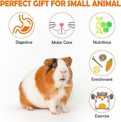 Sofier Guinea Pig Toys Tunnel Hideout Cage Accessories Chew Toys for Hamster Rabbit Ferret Rat Chinchilla Hedgehog Enrichment Playpen Boredom