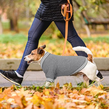 Dog Sweaters for Large Dogs, Brushed Fleece Dog Sweater Baseball Jacket Large Pet Sweater Clothes Soft Warm Boy Girl Pet(Gray-XL)